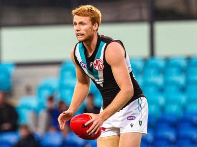 Port Adelaide's Drew revels in unsung midfield status