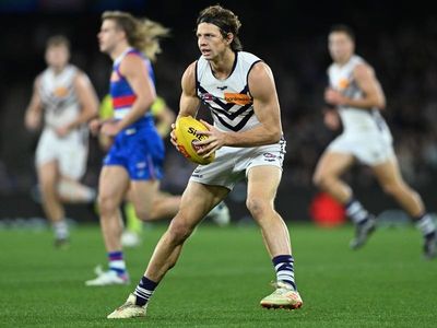 Dockers champ Fyfe's foot issue flares up again