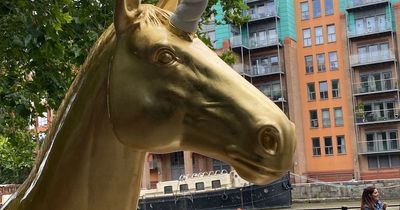 Unicorn Fest pleads with public after more statues damaged in trail's first week