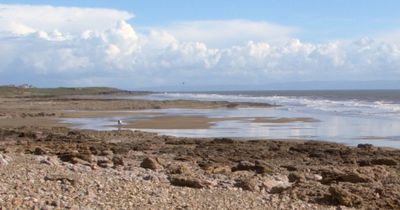 The hidden gem Welsh beach where you can go surfing, spot dolphins and take the dog all-year-round