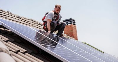 Ministers propose generous solar grants to help firms decarbonise