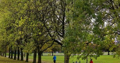 Belfast park ranked in the top 10 UK picnic spots