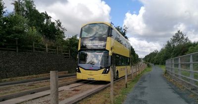 Greater Manchester's new fleet of Bee Network yellow buses spotted on Leigh guided busway