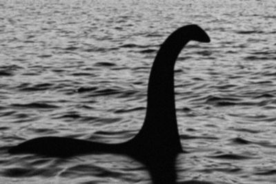 Third Loch Ness Monster sighting of 2023 officially added to Nessie register