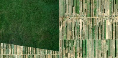 The forgotten Amazon: as a critical summit nears, politicians must get serious about deforestation in Bolivia