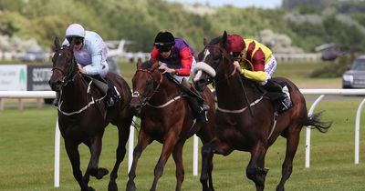 Newsboy's horseracing selections for Wednesday's five meetings, including Musselburgh Nap