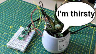 How To Monitor Your Houseplants With Raspberry Pi Pico W and Telegram