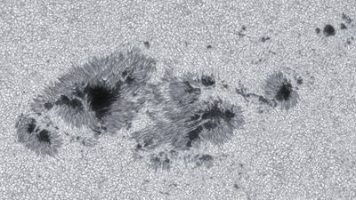 Giant sunspot grew 10 times wider than Earth in just 48 hours, then spat X-class flare right at us