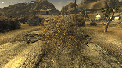 Add a tumbleweed companion who encourages violence in Fallout: New Vegas with this mod