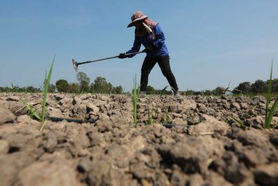 Dry spell could last into 2024