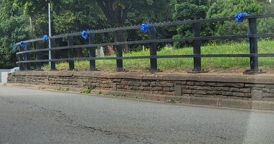 Blue ribbons have appeared along a stretch of road in Ely, Cardiff