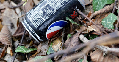 Coca-Cola, Red Bull, Mondelez and AG Barr made half of all litter on Northern Ireland streets