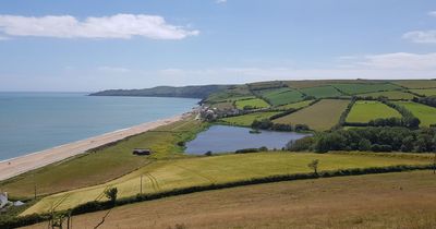 Beautiful dog-friendly West Country beach is famed for its fish and chips