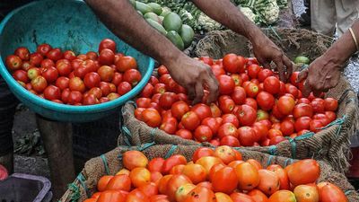 Tomato prices breach ₹150 mark in Bengaluru
