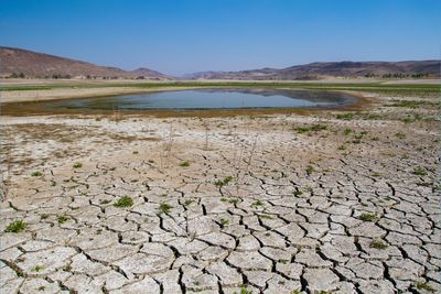 A future of droughts and heatwaves