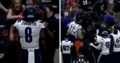 Indoor Football League descends into chaos as players clash with fans in wild brawl