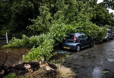 One dead and hundreds of flights cancelled at Schiphol airport as freak summer storm batters Netherlands