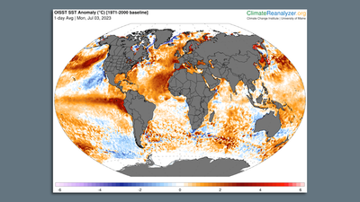 Globe has hottest June on record as well as hottest day, data shows