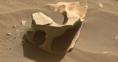 'Swiss cheese' rock photographed by NASA on Mars