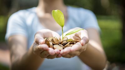 DAFs vs. Private Foundations: Which Giving Strategy Is Right for You?