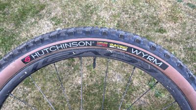 Hutchinson Wyrm Racing Lab tire review – French downcountry toughness