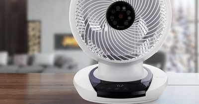 This air circulator is the best gadget for keeping a whole room cool- we had to give it a go