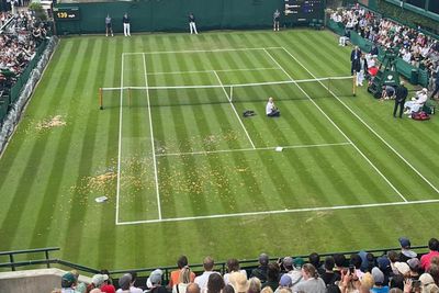 Wimbledon suspended as protestors storm tennis court during match