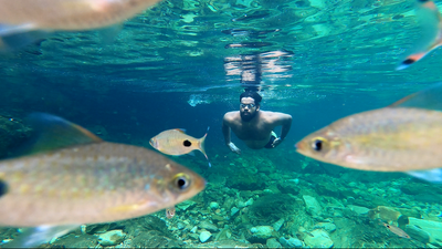 Want to learn how to swim in the sea? Chennai now has instructors who specialise in open water swimming