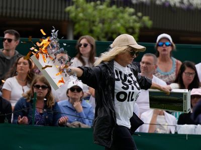 Just Stop Oil protesters throw confetti and jigsaw pieces during Wimbledon match