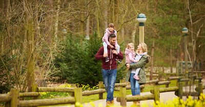 Center Parcs makes big change to booking system in time for the summer holidays