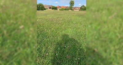 Row over kids' football pitch where nobody wants to cut the grass