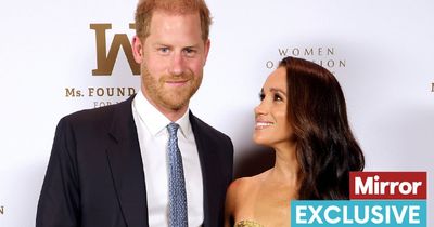 Meghan Markle and Prince Harry will 'divide and conquer' as they build a bigger brand