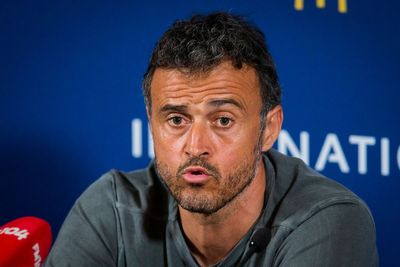 Luis Enrique appointed as new head coach of Paris St Germain