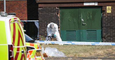 Gunman who shot person in the head is still on the run - an attempted murder investigation continues