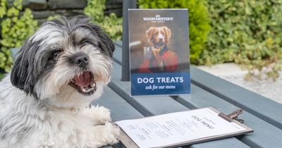 Didsbury pub has introduced a new DOG menu with ‘yappy meal’ and ‘paw-star martini’