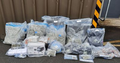 Arrest after police seize large quantity of cannabis in operation targeting East Belfast UVF