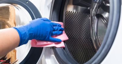 Ten simple steps to melt away 'harmful' black mould from your washing machine