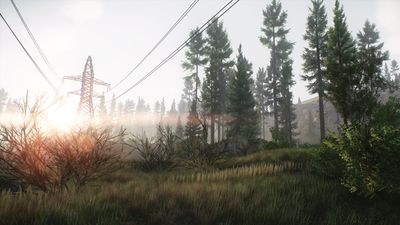 When is the next Escape From Tarkov wipe?