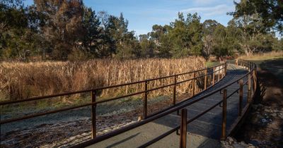 Replacement bridges for Umbagong District Park open after two years