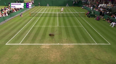 A spider jump scared Wimbledon viewers by crawling onto one of ESPN’s cameras during a match