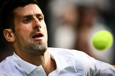 Djokovic, Swiatek win at Wimbledon as confetti-throwing protesters strike