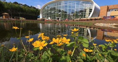Center Parcs breaks ‘hundreds of pounds’ cheaper on the continent, Which? finds
