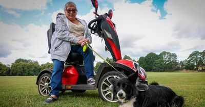 Council defends decision to ask Nottingham dog owner to keep pet on lead at park