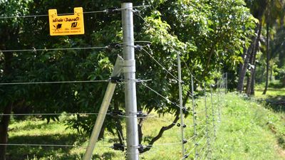 T.N. notifies rules for electric fences, aims to protect wild animals and save crops from damage