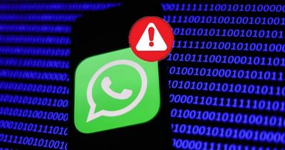 Change new WhatsApp setting or face much higher mobile bills, users warned