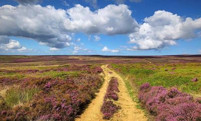 Footpaths to the past: ‘We must keep our ancient tracks alive by walking them’