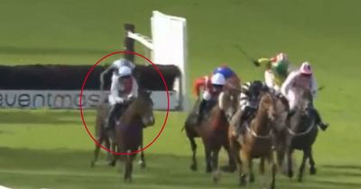 Horse banned from racing for 40 days over young jockey's controversial ride