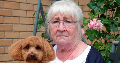 Clydebank great-gran 'too scared to sleep' after prowler captured lurking outside bedroom on CCTV