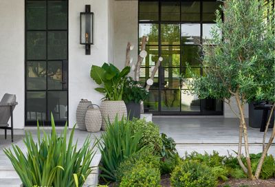 5 of the best front door plants – picks that will make your home's entrance look a million times better