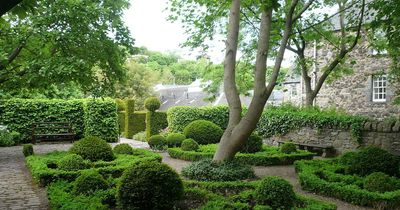 The beautiful Edinburgh 'hidden gem' garden tucked away in the Royal Mile